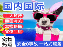 临沧博尚空运代理国际宠物托运 【国